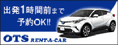 OTS Rent-A-Car